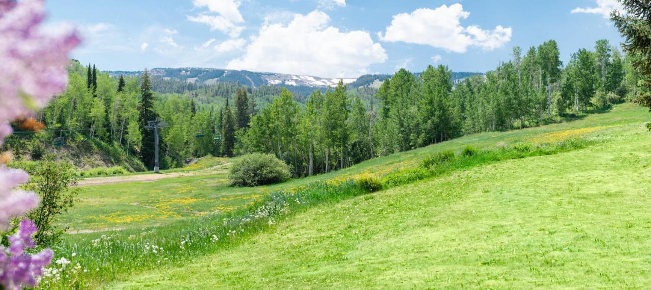Laurelwood Condominiums 307 Snowmass Village Exteriér fotografie